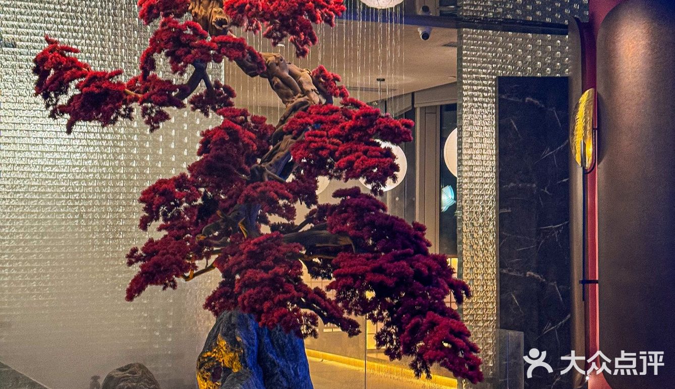 真的在广州！不在京都👘🪭