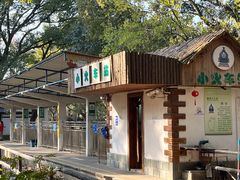 -上海共青森林公园