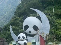 -卧龙中华大熊猫苑神树坪基地