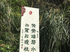 景点-重庆彩云湖湿地公园