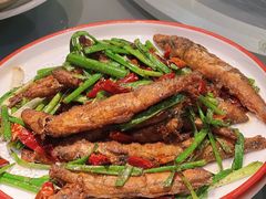 -金龙·打边炉(南京西路店)