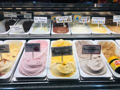 -Dooley's Premium Ice Cream