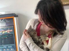 -more than meow吴止猫主题餐厅(承德 中船汇店)