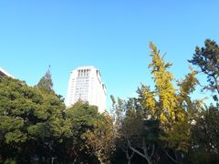 -复旦大学光华楼