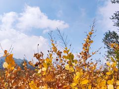 -白草畔自然风景区