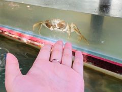 -乡乐园蟹庄·阳澄湖农家乐