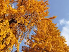 -海上海弘基休闲广场