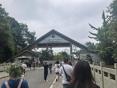 -中国大熊猫保护研究中心雅安碧峰峡基地