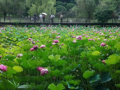 -沐仙湖湿地公园