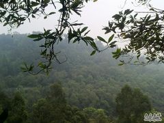 -南国桃园旅游度假区