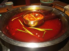番茄鸳鸯锅-味当家鱼头火锅.•甲鱼料理(金沙店)