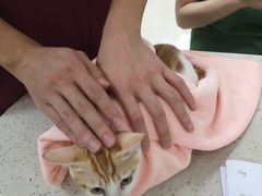 -瑞鹏·疫苗·绝育·宠物医院(金沙洲店)