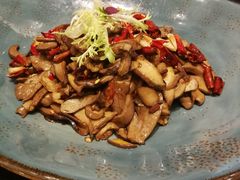 干椒牛肝菌-翠湖宾馆·中餐厅