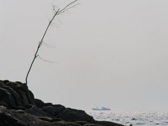 -辽宁团山国家级海洋公园