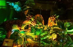 -恐龙探索乐园(磁器口店)