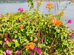 -福建鲤鱼洲酒店