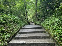 -西岭雪山大飞水景区
