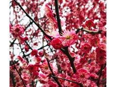 -杭州城北体育公园