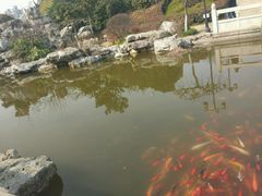 -梅园