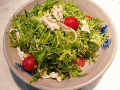 凉拌苦菊-呱呱叫民俗风味主题餐厅(沣峪口店)
