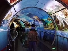 -房山世界地质公园博物馆