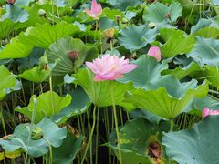 -北京舞蹈学院食堂