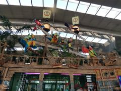 -南宫五洲植物乐园