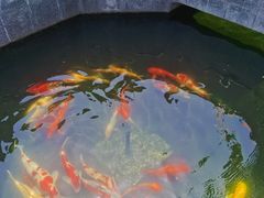 -西安市广仁寺