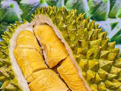 -开皇马来西亚榴莲美食店(华强北店)