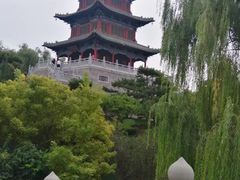 -迎泽公园