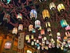 -黄帝千古情