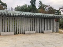 -飞凤山奥体公园