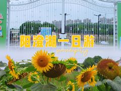 -阳澄湖半岛旅游度假区