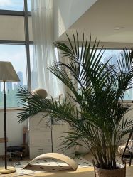 -ZOO KIDS象集摄影工作室(西城公馆店)