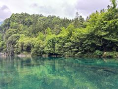 -石台牯牛降景区