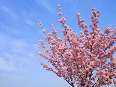 -白沙门生态公园