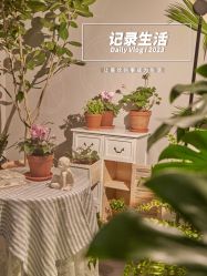 -芳香乐府疗愈空间·SPA·冥想