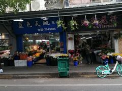 -溪岸路花鸟市场