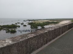 -北海金海湾红树林生态旅游区