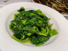 酒香豆苗-老吉士(环贸iapm店)