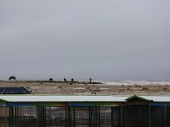 -扁都口生态休闲旅游区