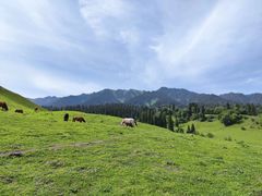 -新疆那拉提国家旅游度假区