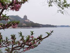 -颐和园