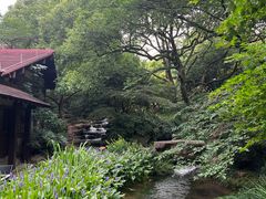 -中国茶叶博物馆(双峰馆区)