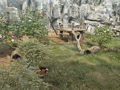-武汉动物园