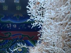 -沂蒙山旅游区龟蒙景区