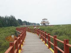 -北海金海湾红树林生态旅游区