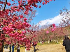 -福清灵石山国家森林公园