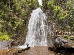 -姑婆山旅游区