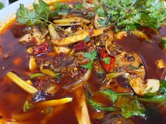 -小杨翘脚牛肉